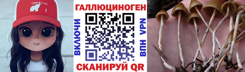 дарк нет формула Рыбинск Галлюциногенные грибы мицелий блэк спрут сайт