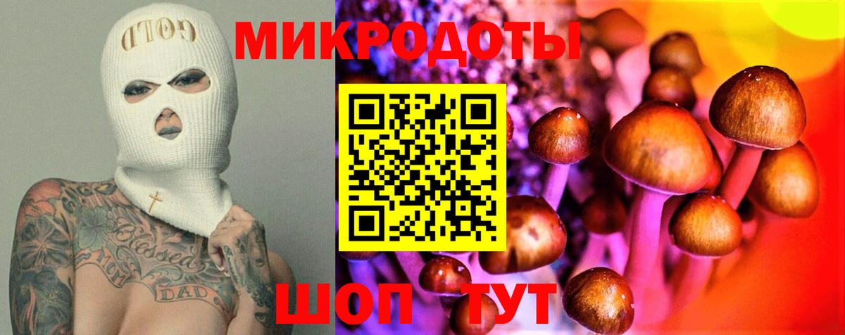 Галлюциногенные грибы Psilocybe Рыбинск