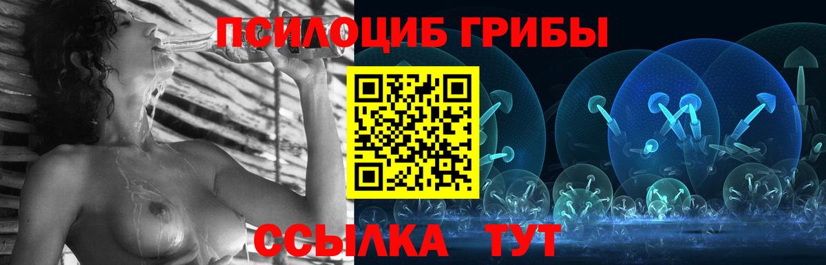 Рыбинск  Галлюциногенные грибы Cubensis  Вход с VPN  Псилоцибиновые грибы ЛСД 